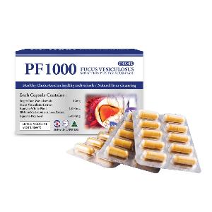 시니케어 PF1000 30정(Sinicare PF1000 30s)